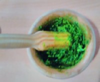 preparazione pesto.jpg